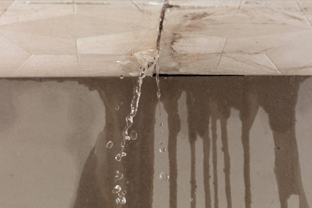Professional Burst Pipe Cleanup technician working in Harshaw, WI